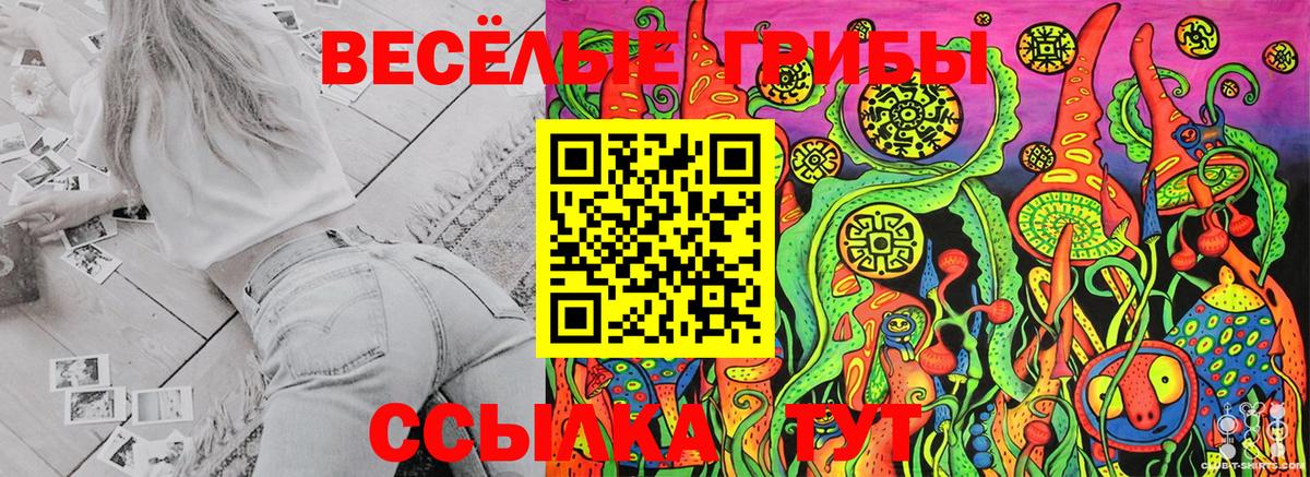 Псилоцибиновые грибы Cubensis  Вход с VPN  Казань 